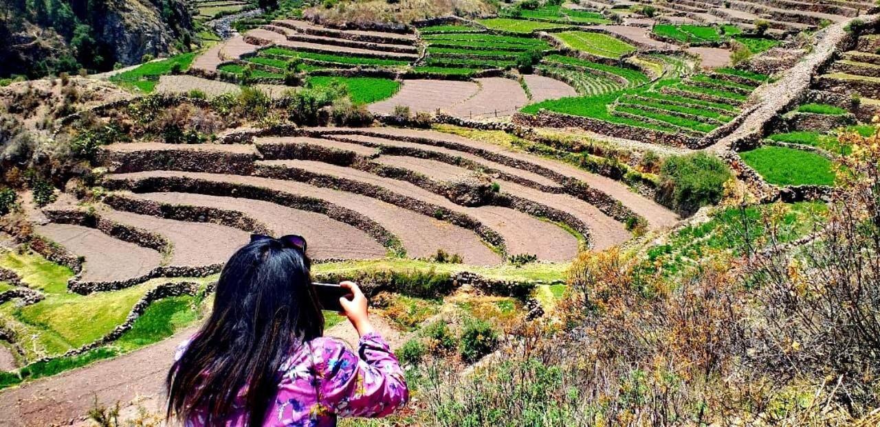 Hotel Misky Punuy - Valle Del Sondondo Andamarca Ngoại thất bức ảnh
