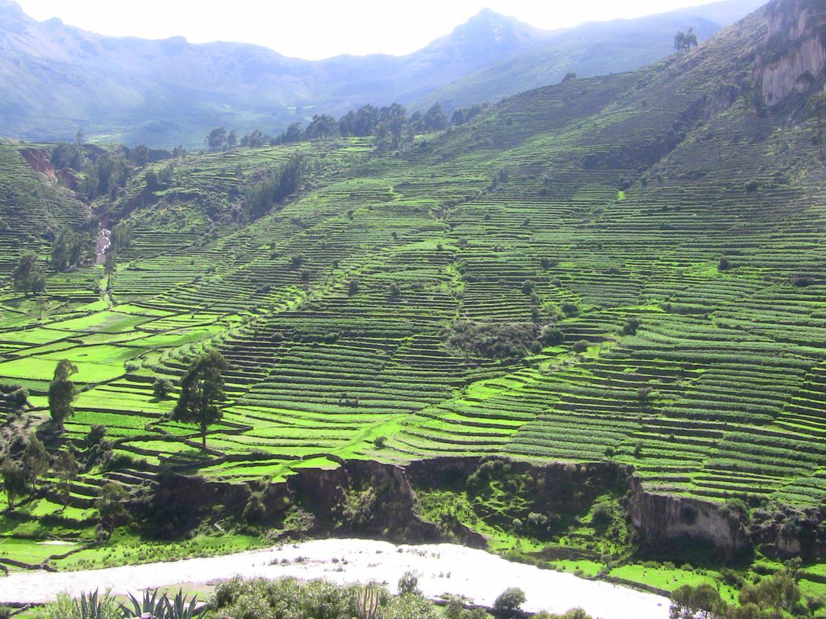 Hotel Misky Punuy - Valle Del Sondondo Andamarca Ngoại thất bức ảnh