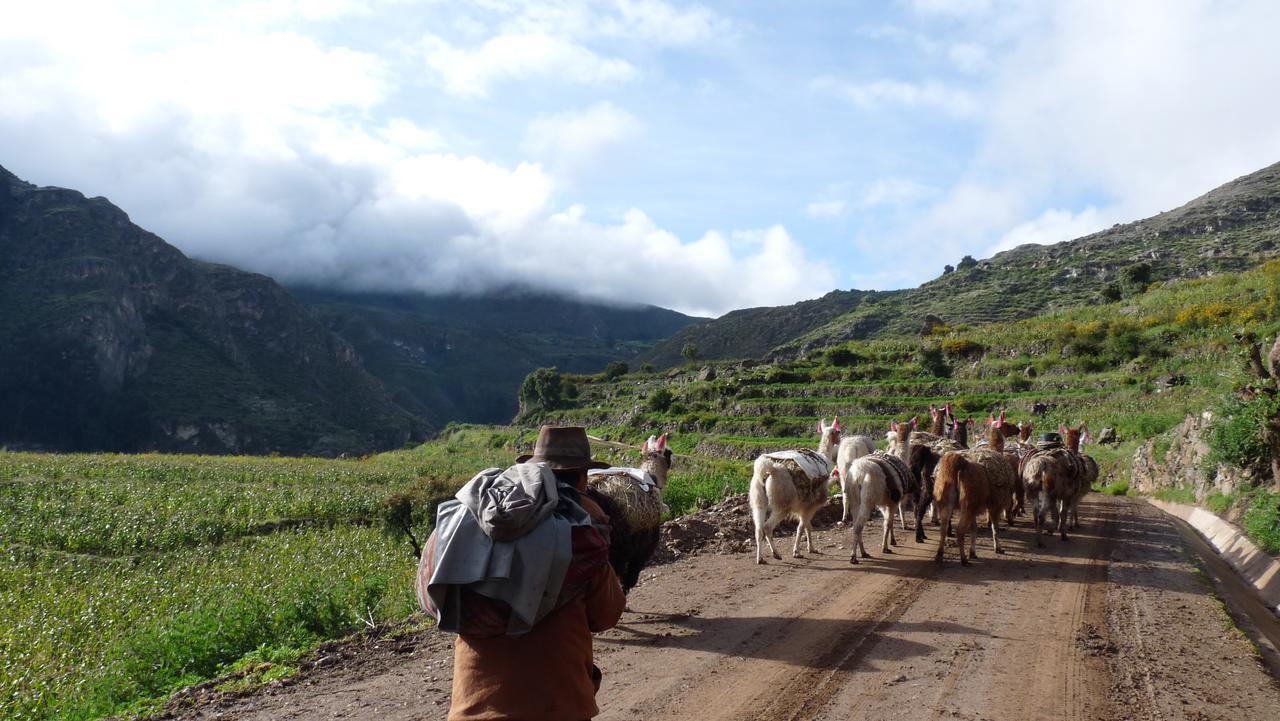 Hotel Misky Punuy - Valle Del Sondondo Andamarca Ngoại thất bức ảnh