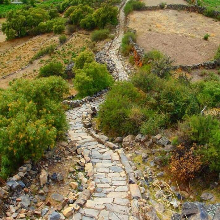 Hotel Misky Punuy - Valle Del Sondondo Andamarca Ngoại thất bức ảnh