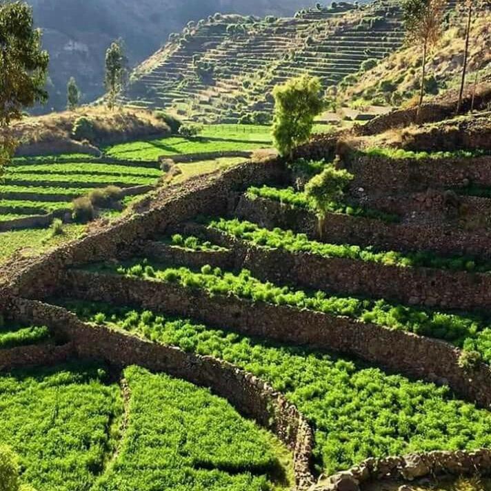 Hotel Misky Punuy - Valle Del Sondondo Andamarca Ngoại thất bức ảnh