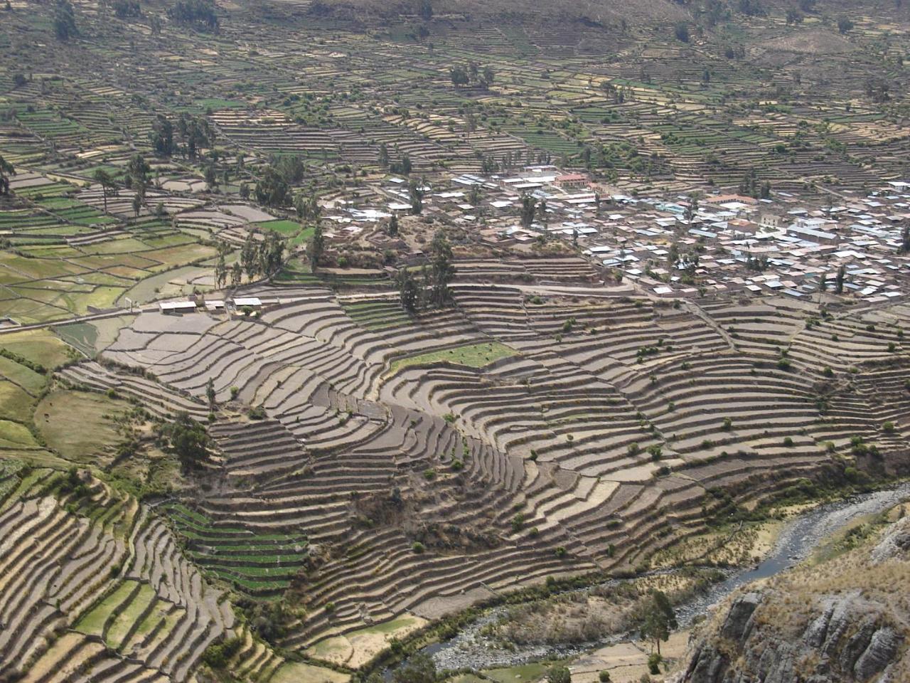 Hotel Misky Punuy - Valle Del Sondondo Andamarca Ngoại thất bức ảnh